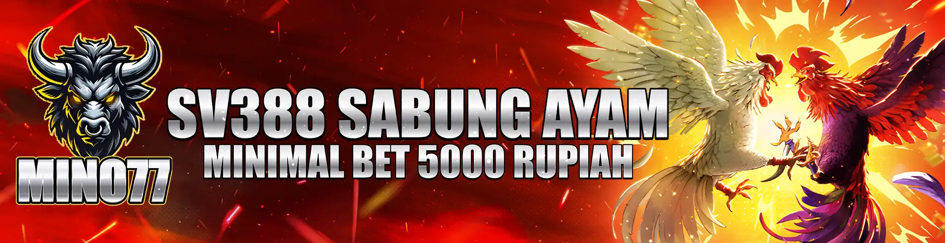 MINO77 Sabung Ayam SV388
